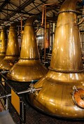 Cardhu Tour with Distillery Operator Steve Thornhill