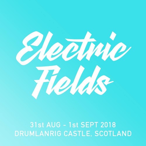 Electric Fields 2018 Citizen Ticket